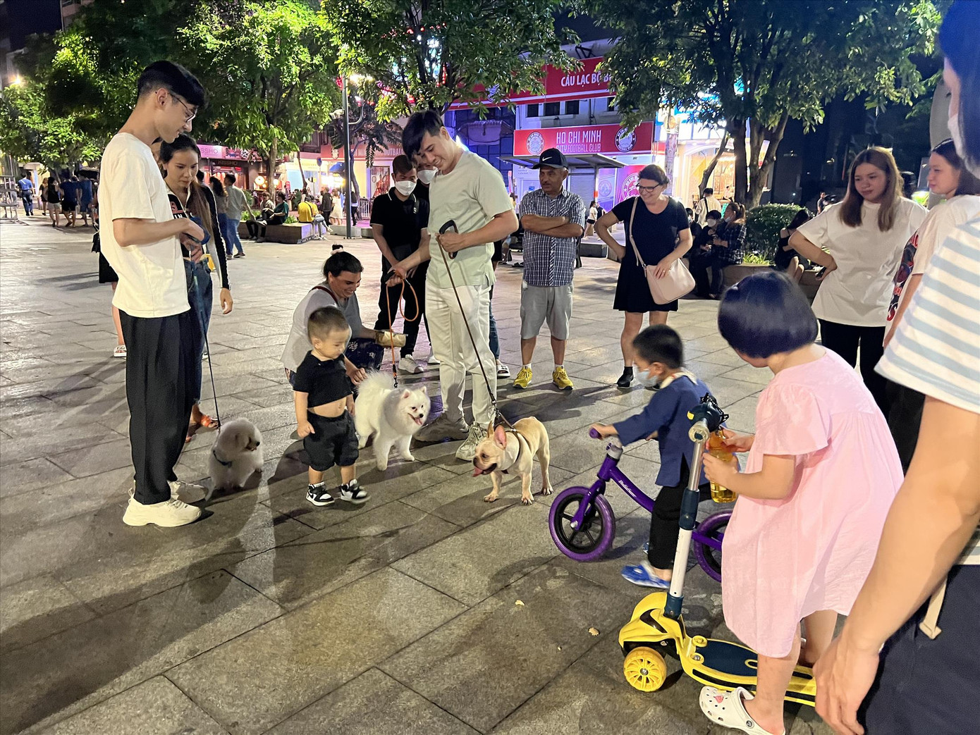 Chó không rọ mõm được đưa đến phố đi bộ Nguyễn Huệ (quận 1, TP HCM)