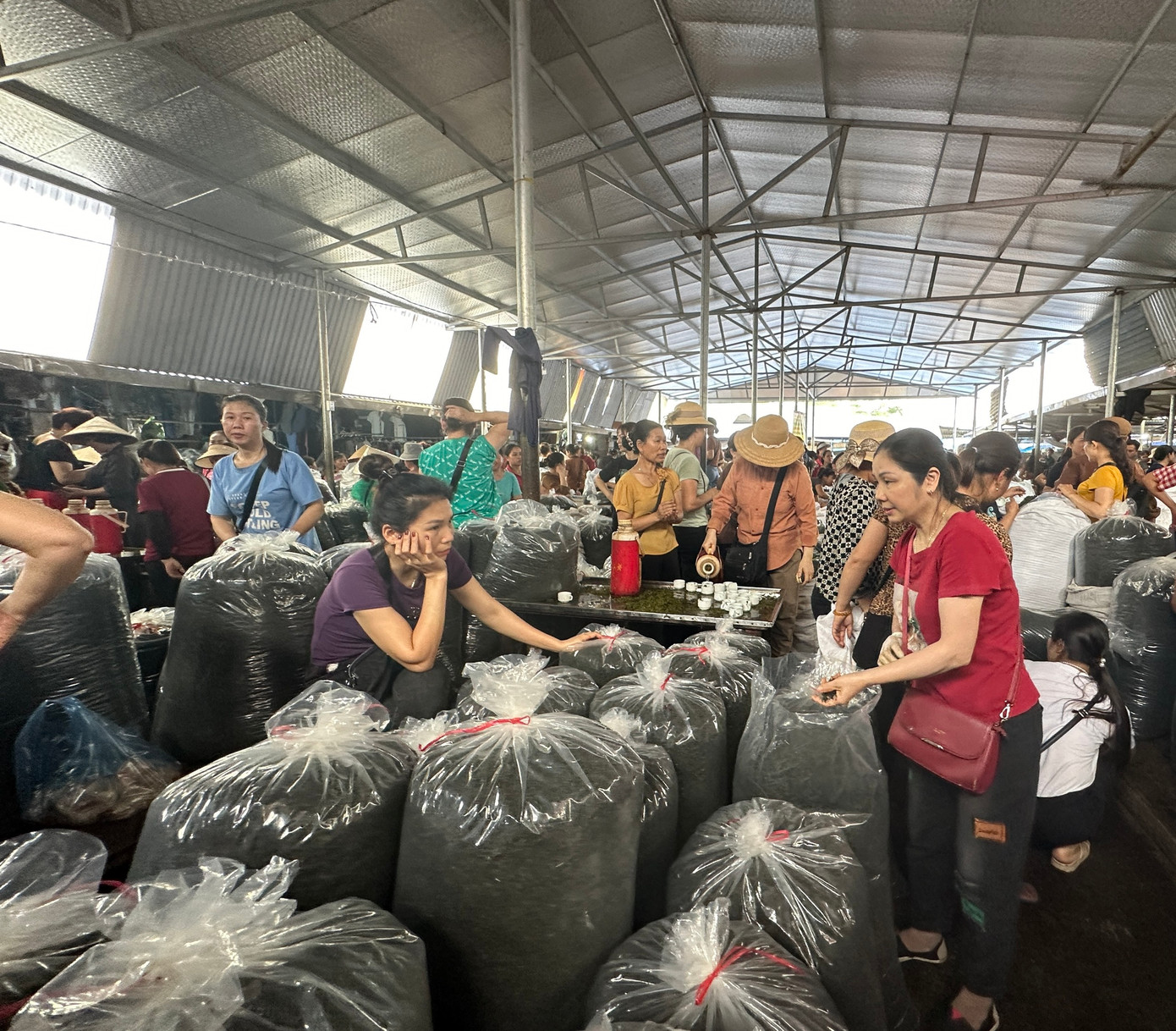 Hàng tấn chè đặc sản Tân Cương được tiêu thụ tại mỗi phiên chợ chè Hàng tấn chè đặc sản Tân Cương được tiêu thụ tại mỗi phiên chợ chè