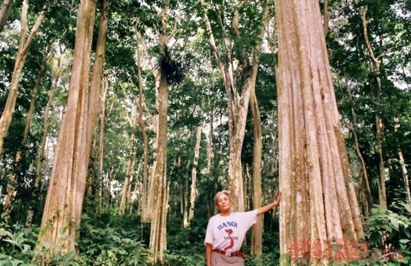 Cụ Vi Chính Nghĩa - cố Bí thư Huyện ủy Tương Dương, người tiên phong trong công cuộc bảo vệ, giữ gìn cánh rừng săng lẻ