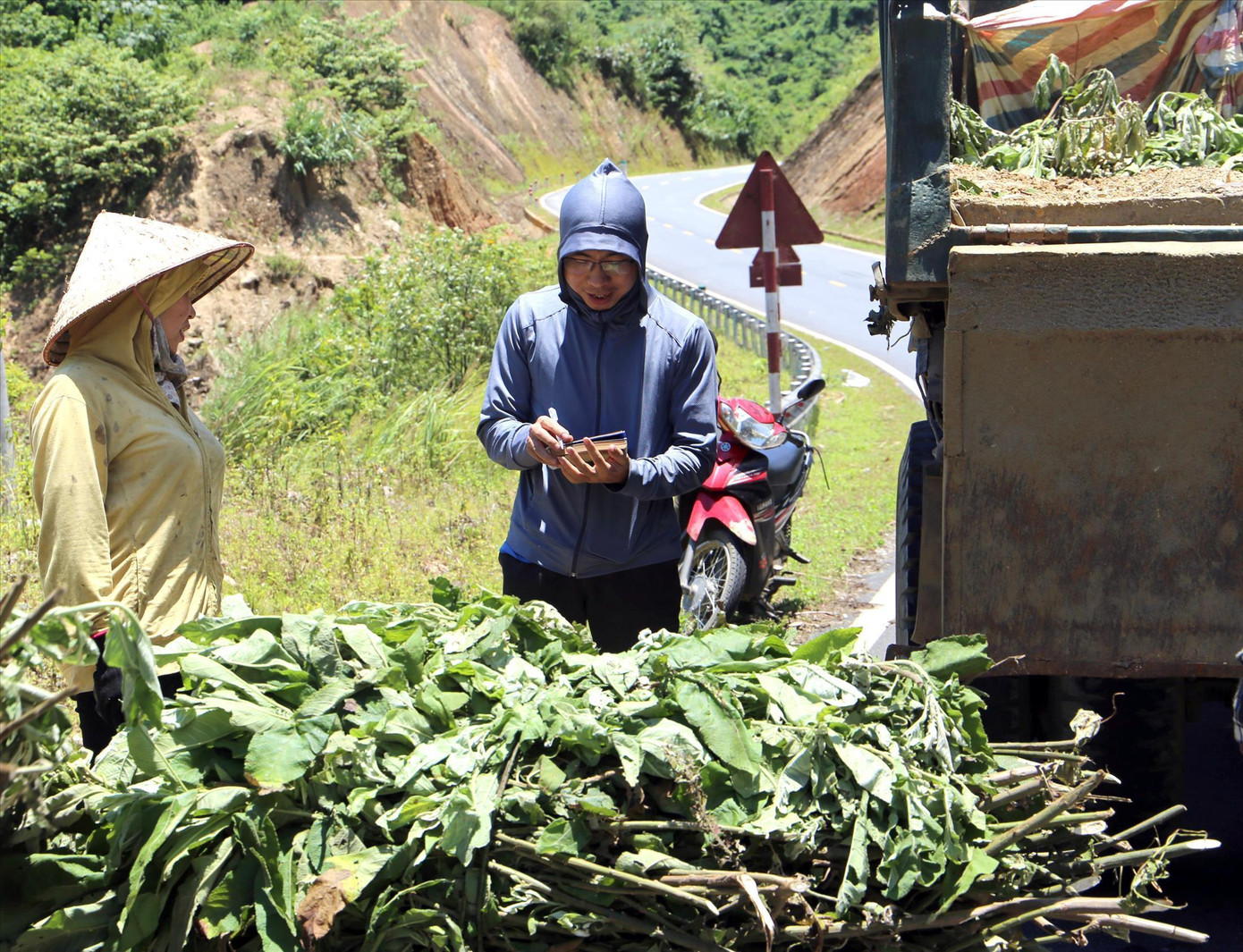 HTX do An Văn Tuấn làm giám đốc thu mua cây đại bi từ của người dân Ảnh: NVCC HTX do An Văn Tuấn làm giám đốc thu mua cây đại bi từ của người dân Ảnh: NVCC