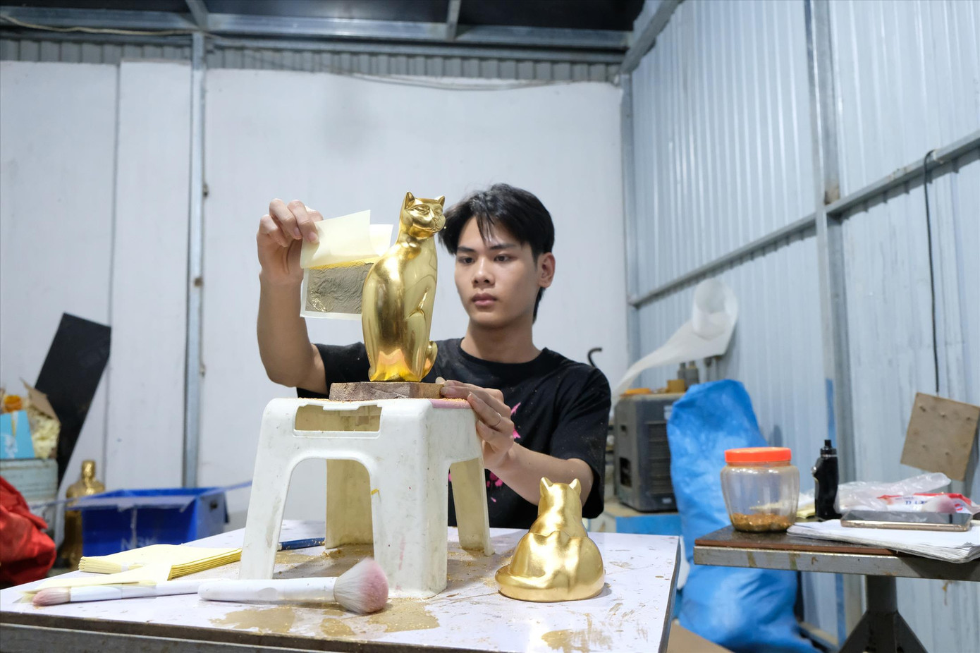 Mèo vàng 50 triệu đồng/con phục vụ khách hàng Tết Nguyên đán Quý Mão 2023 Mèo vàng 50 triệu đồng/con phục vụ khách hàng Tết Nguyên đán Quý Mão 2023