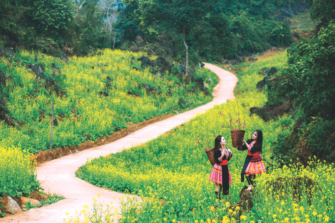 Khách check in ở Cốc Tình