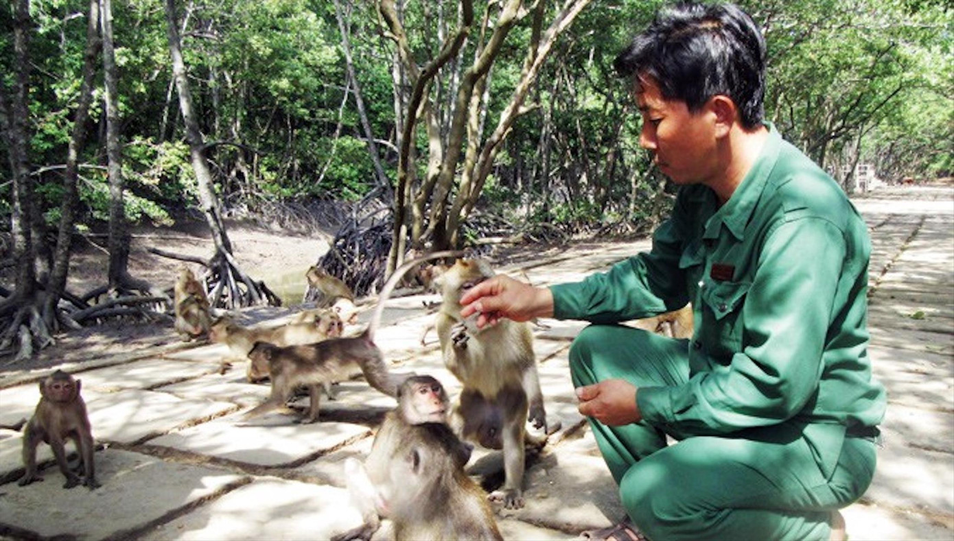 Những điểm đến ấn tượng ở Cần Giờ Những điểm đến ấn tượng ở Cần Giờ