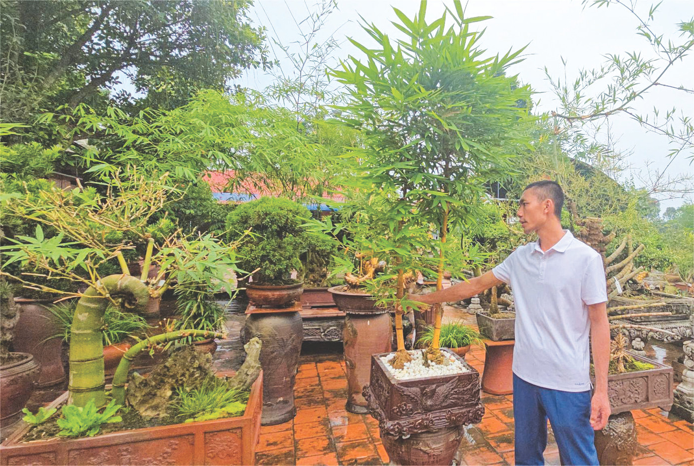 Sỹ Luân và tác phẩm “Huynh đệ”. Sỹ Luân và tác phẩm “Huynh đệ”.