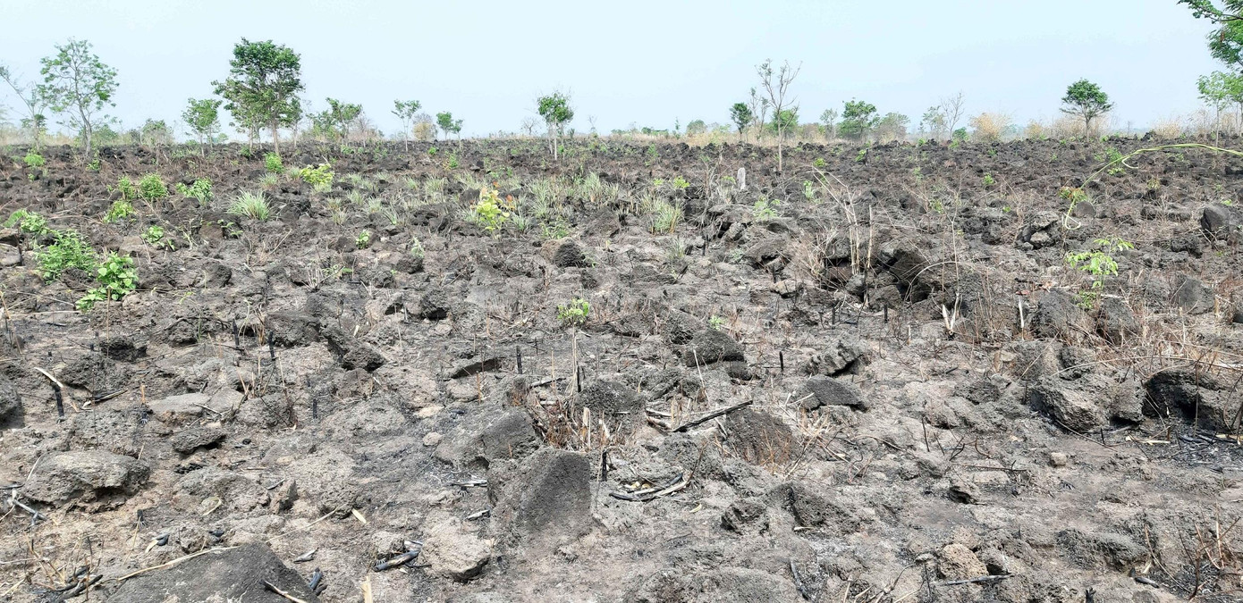 Đường dẫn vào núi lửa Chư Bluk cánh đồng đầy đá bọt lởm chởm