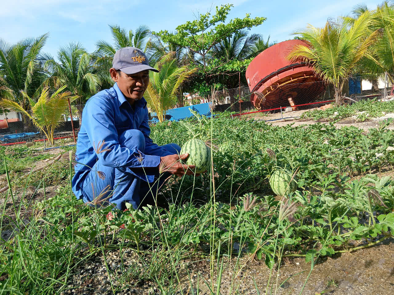 Chuyện 'thực túc binh cường' ở Trường Sa ảnh 1