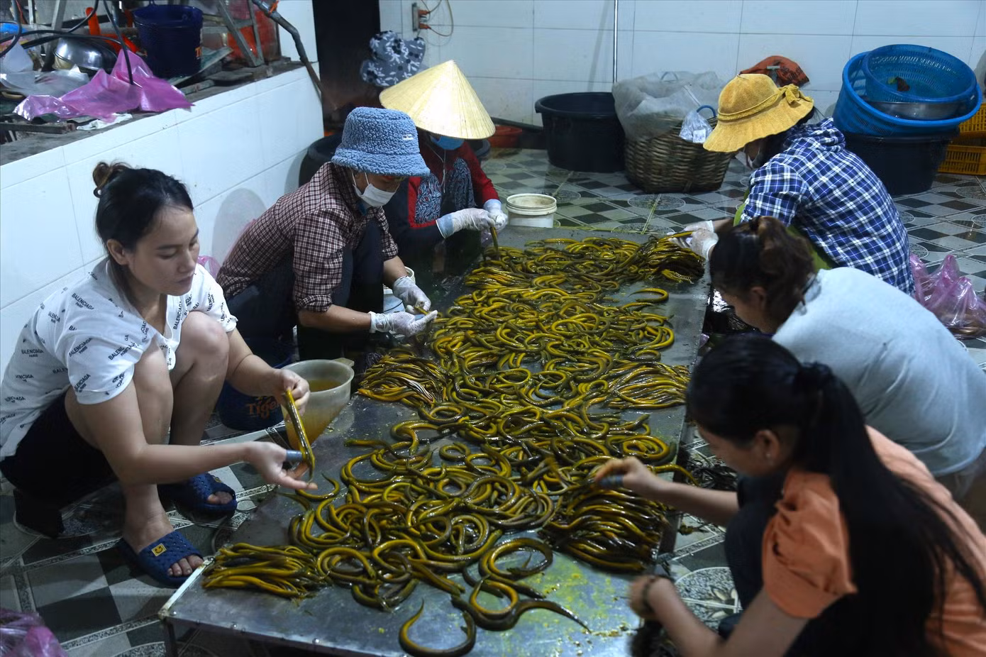 Công nhân sơ chế lươn