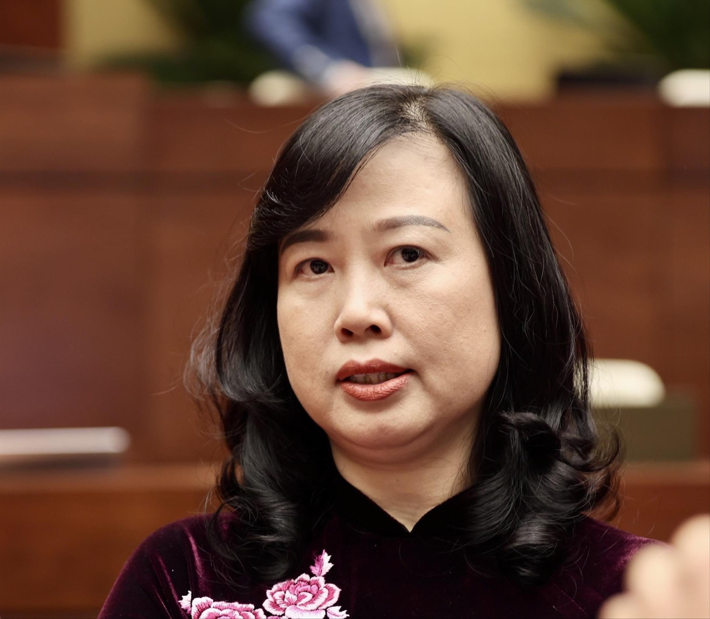 Bộ trưởng Bộ Y tế Đào Hồng Lan