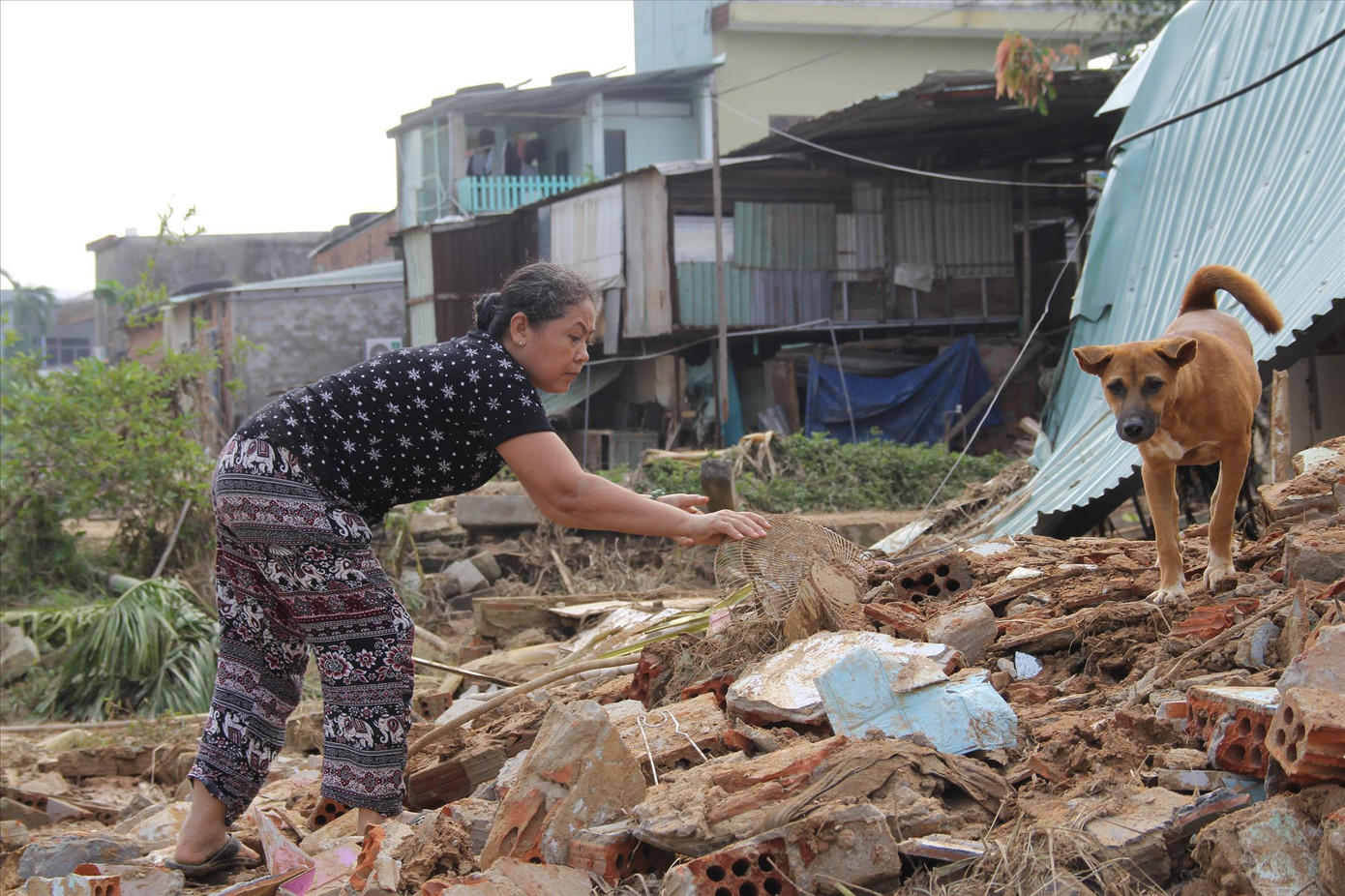 Bà Đỗ Thị Thanh Hoa (thôn Thạch Nham Đông) lật đống gạch vụn để tìm kiếm đồ đạc Ảnh: Giang Thanh Bà Đỗ Thị Thanh Hoa (thôn Thạch Nham Đông) lật đống gạch vụn để tìm kiếm đồ đạc Ảnh: Giang Thanh