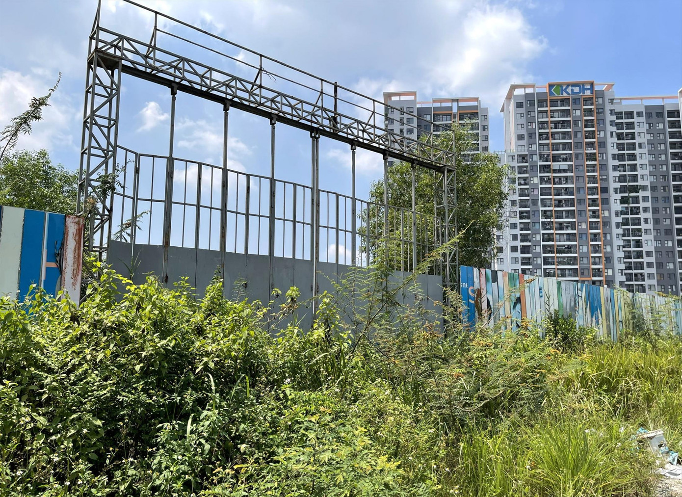 Cỏ mọc um tùm bên trong dự án Hausbelo Ảnh: Duy Quang