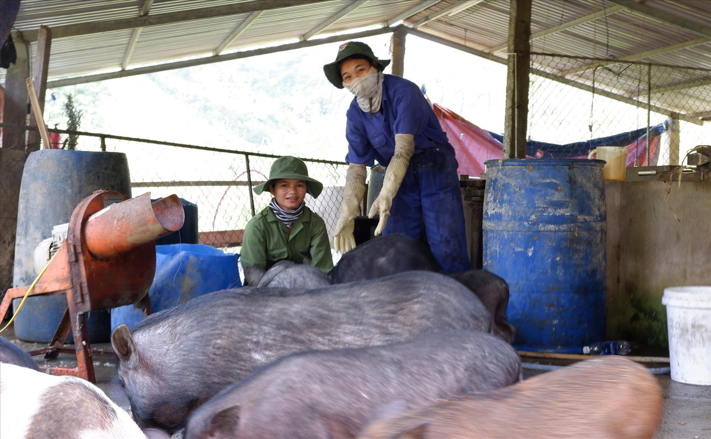Những trí thức trẻ tình nguyện ở Đoàn 207 Ảnh: Nguyễn Thành