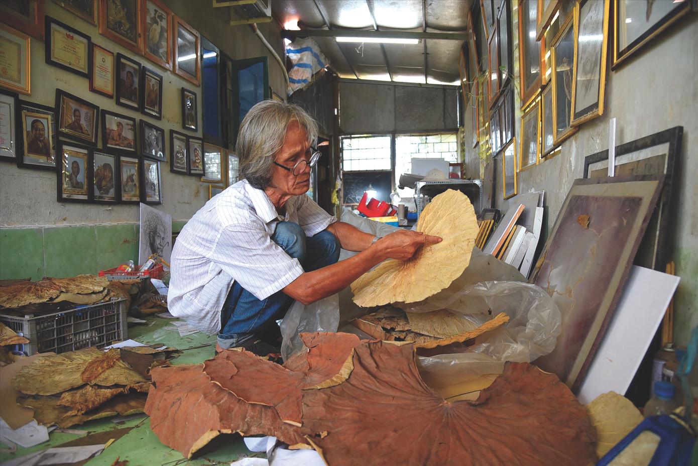 Ông Bảy Nghĩa và nguyên liệu lá sen để làm tranh