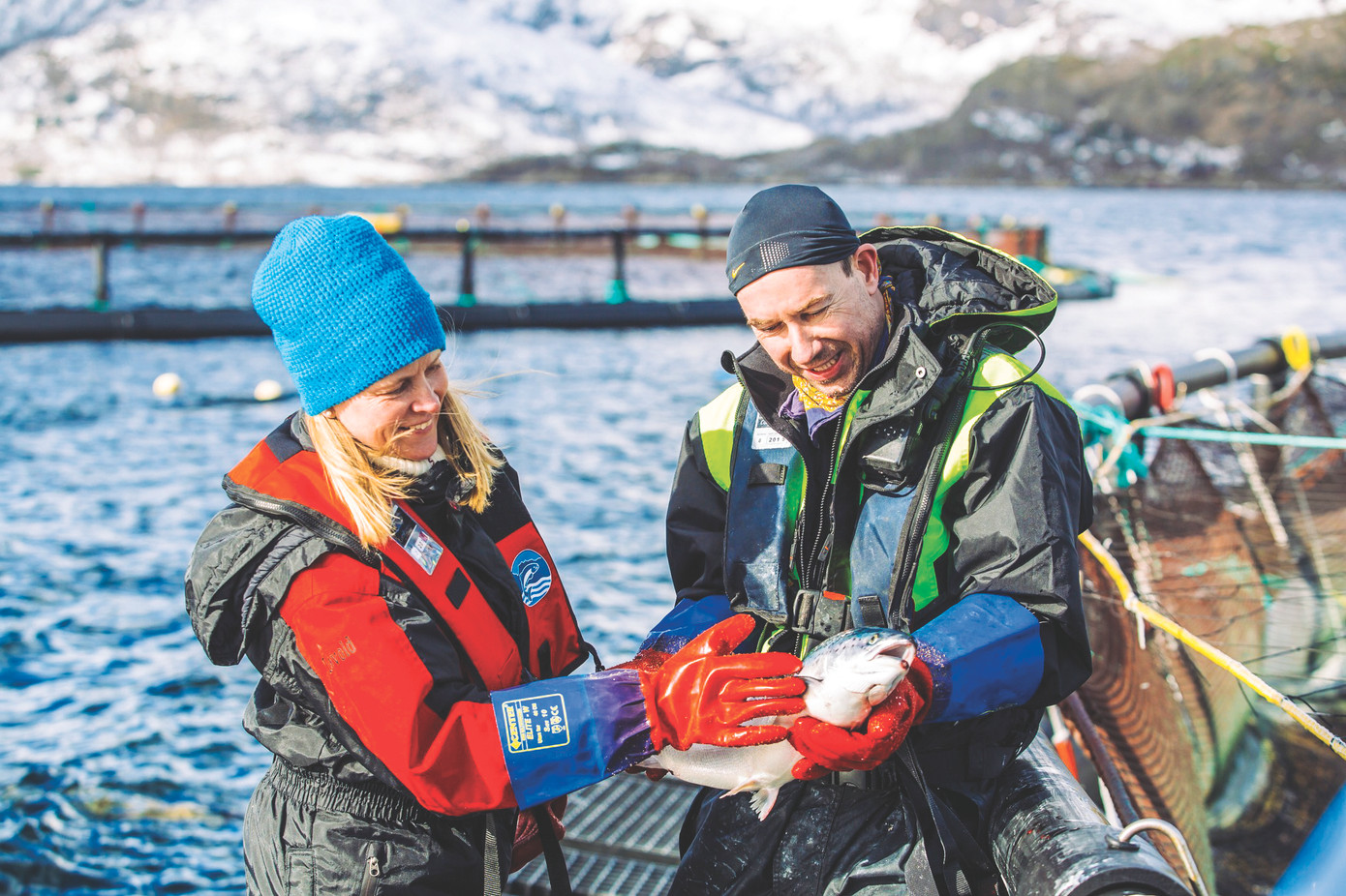 Người Na Uy đã biến môi trường khắc nghiệt trở thành điều kiện lý tưởng để nuôi cá hồi Ảnh: NSC