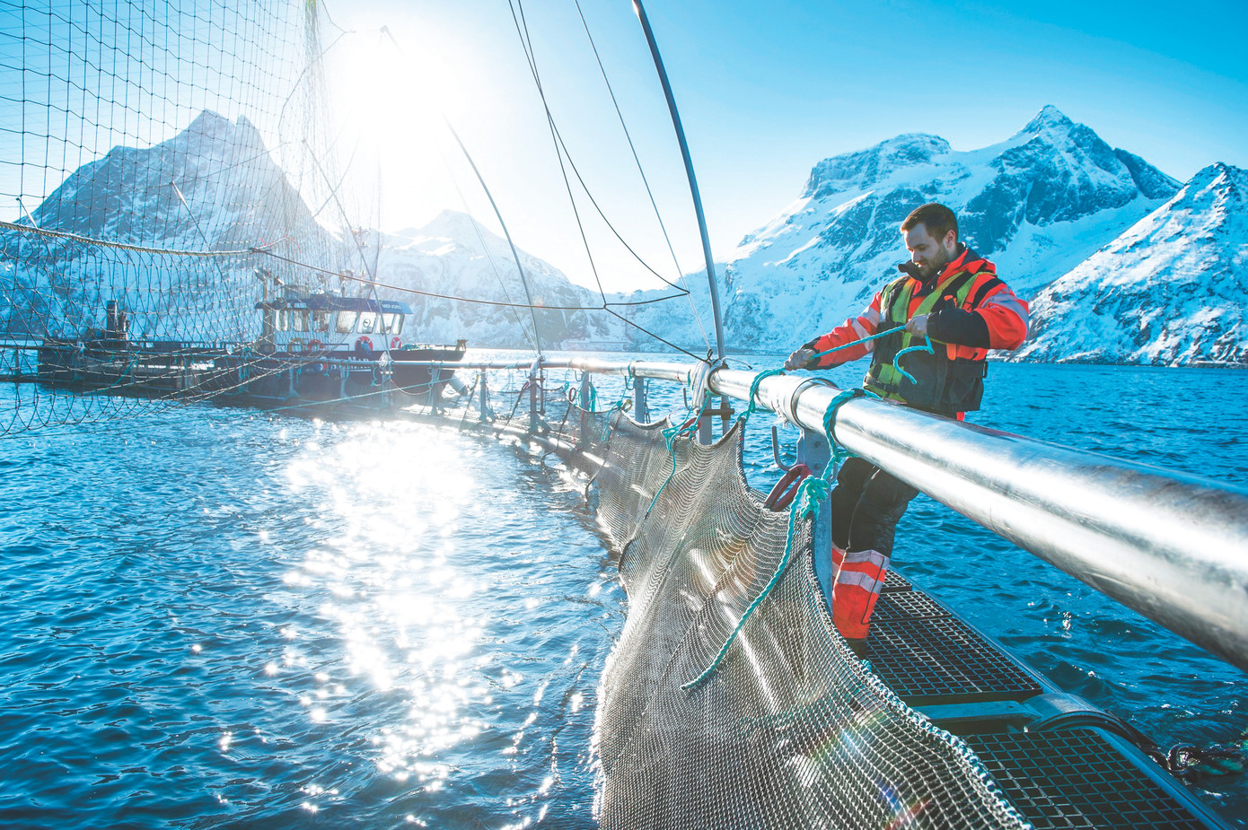 6 lồng cá, mỗi lồng 200.000 - 300.000 con cá hồi đang sống dưới nước nhưng khu vực trang trại đều rất sạch và không hề có “mùi cá”Ảnh: NSC