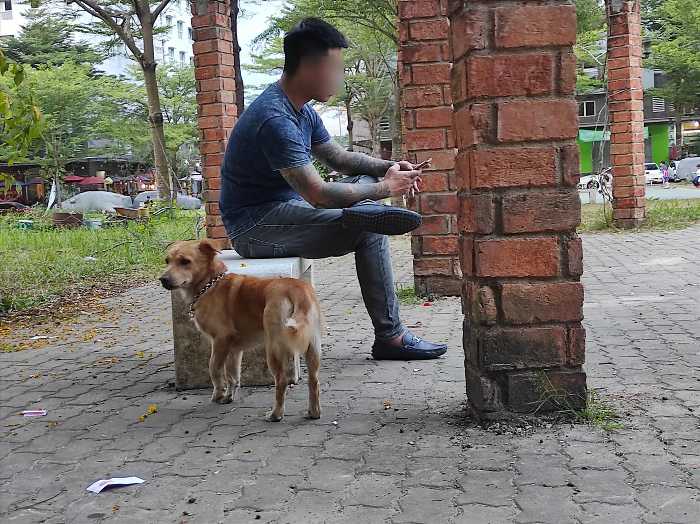 Chó thả rông, không rọ mõm, không đi cùng chủ ở khuôn viên chung cư Ehome3 (TPHCM) Ảnh: H.H