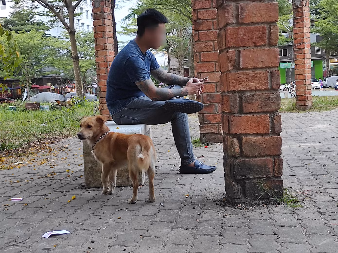 Chó thả rông, không rọ mõm, không đi cùng chủ ở khuôn viên chung cư Ehome3 (TPHCM) Ảnh: H.H