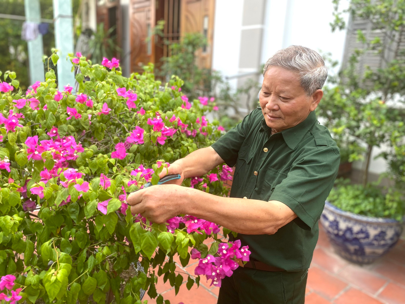 Thú vui lúc rảnh rỗi của ông Xuyến là chăm sóc, cắt tỉa cây cảnh Thú vui lúc rảnh rỗi của ông Xuyến là chăm sóc, cắt tỉa cây cảnh