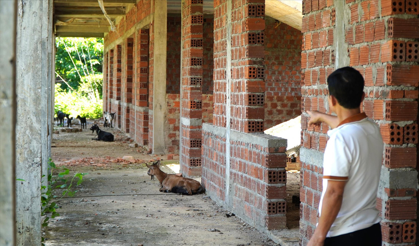 Tạm dừng thi công, công trình nhà học bộ môn và chức năng Trường PTDT bán trú TH&THCS Ba Tầng đang là nơi chăn giữ gia súc Tạm dừng thi công, công trình nhà học bộ môn và chức năng Trường PTDT bán trú TH&THCS Ba Tầng đang là nơi chăn giữ gia súc