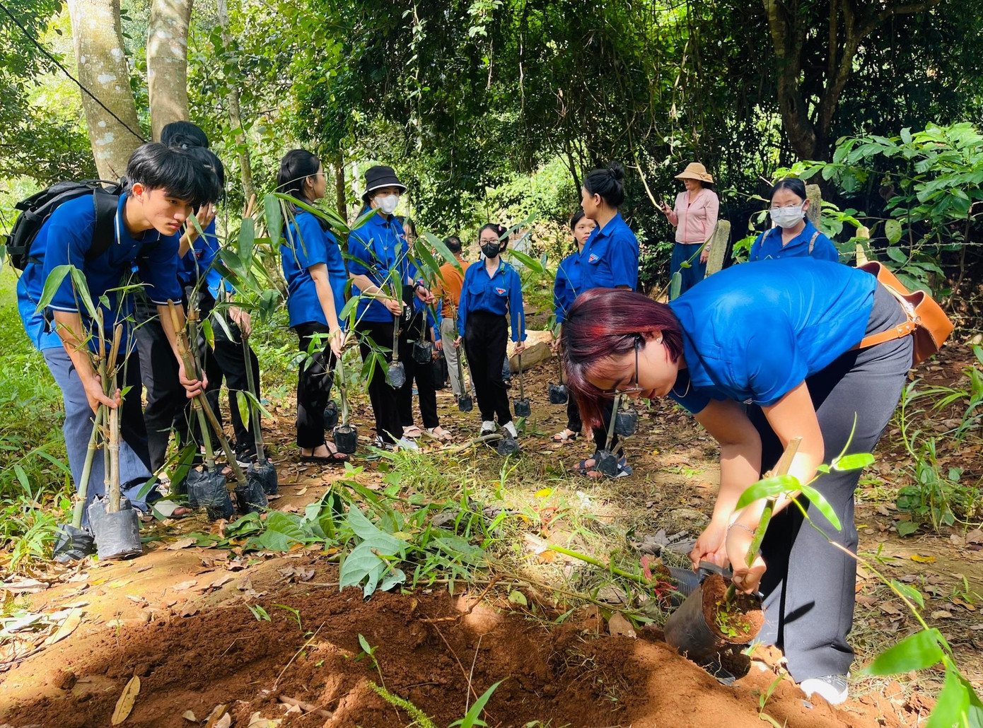 Thanh niên tham gia trồng 100 cây tre đầu nguồn bến nước