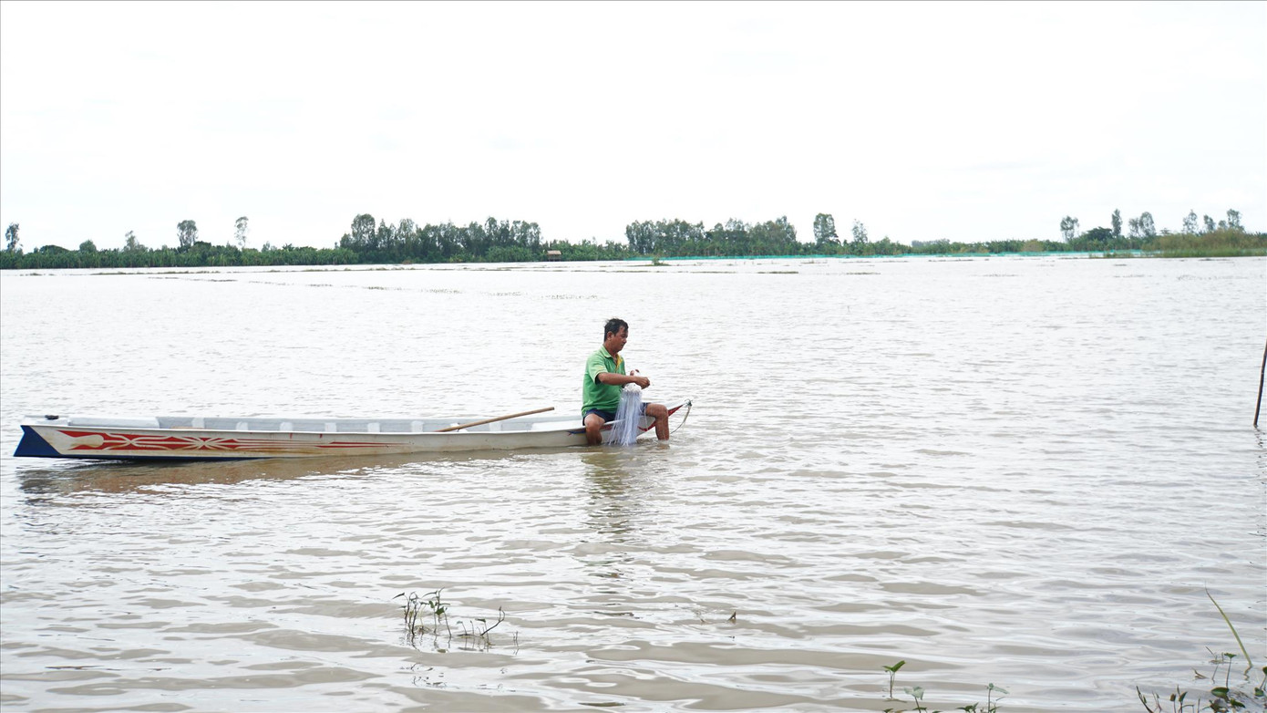 Người dân giăng lưới trên cánh đồng lũ huyện Tam Nông, tỉnh Đồng Tháp Ảnh: HÒA HỘI