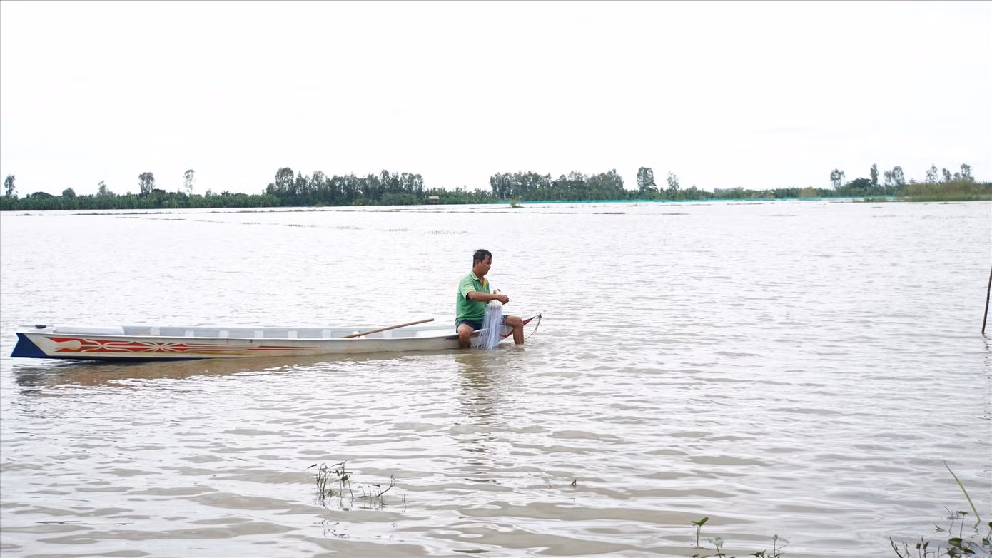 Người dân giăng lưới trên cánh đồng lũ huyện Tam Nông, tỉnh Đồng Tháp Ảnh: HÒA HỘI Người dân giăng lưới trên cánh đồng lũ huyện Tam Nông, tỉnh Đồng Tháp Ảnh: HÒA HỘI