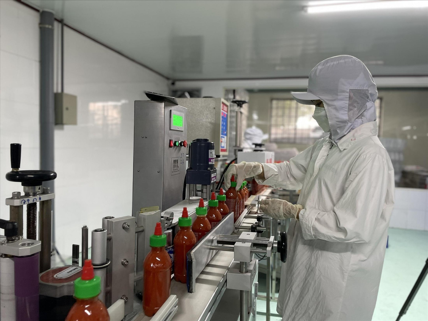 Công ty Chilica đang chuẩn bị những khâu cuối cùng để đưa hàng sang trời Âu vào ngày 11/3 tới. Ảnh: U.P