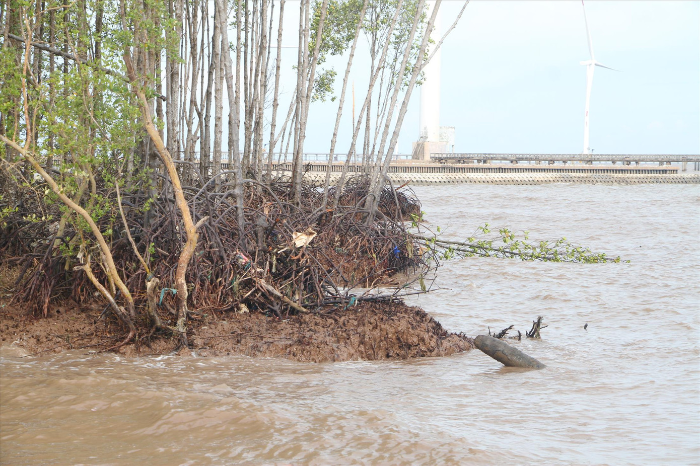 Sạt lở ăn sâu, uy hiếp đê biển Đông qua tỉnh Bạc Liêu Sạt lở ăn sâu, uy hiếp đê biển Đông qua tỉnh Bạc Liêu