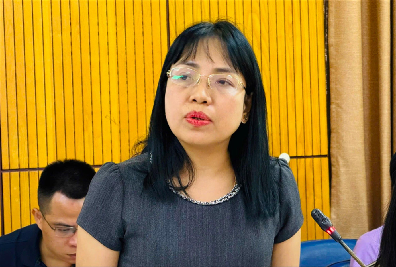 Bà Nguyễn Thị Minh Phương (Phó Cục trưởng Cục Quản lý và xử lý vi phạm hành chính, Bộ Tư pháp) tại buổi họp báo Bà Nguyễn Thị Minh Phương (Phó Cục trưởng Cục Quản lý và xử lý vi phạm hành chính, Bộ Tư pháp) tại buổi họp báo