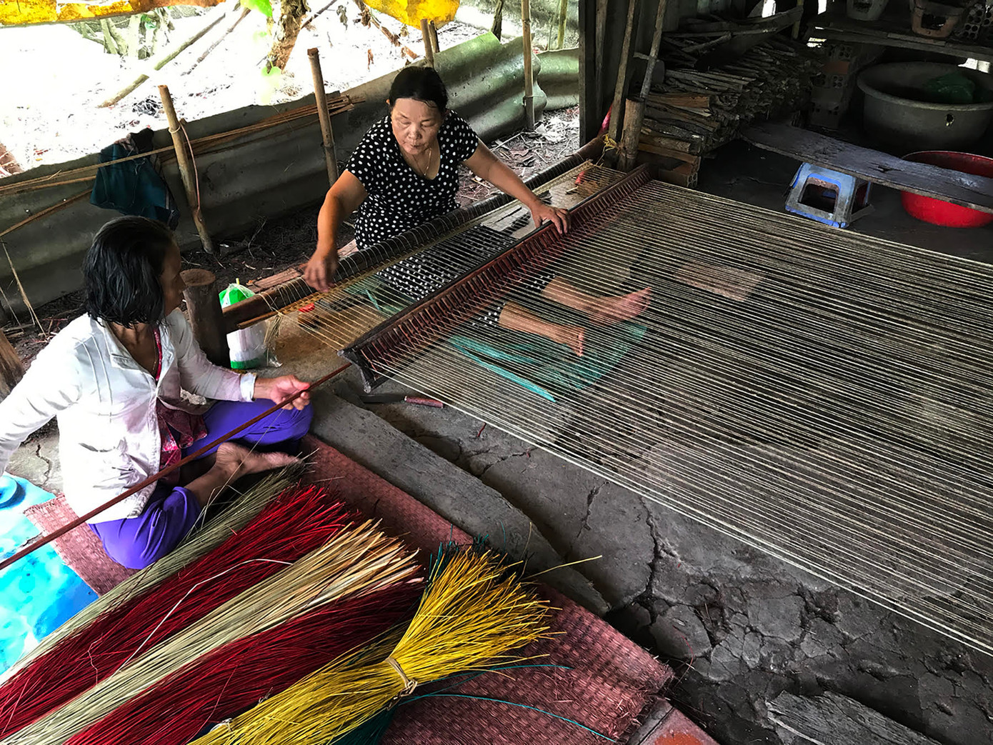 Chị em bà Cao Hồng Lệ (Tân Thành, Cà Mau) dệt chiếu Chị em bà Cao Hồng Lệ (Tân Thành, Cà Mau) dệt chiếu