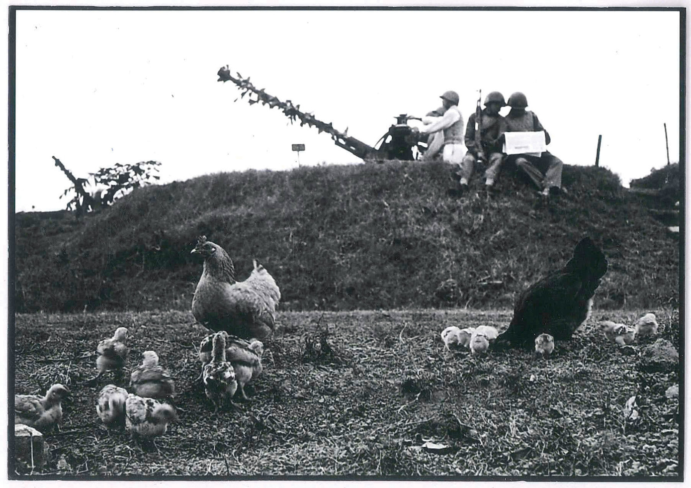 Tác phẩm: Cảnh giác của tác giả Mai Nam