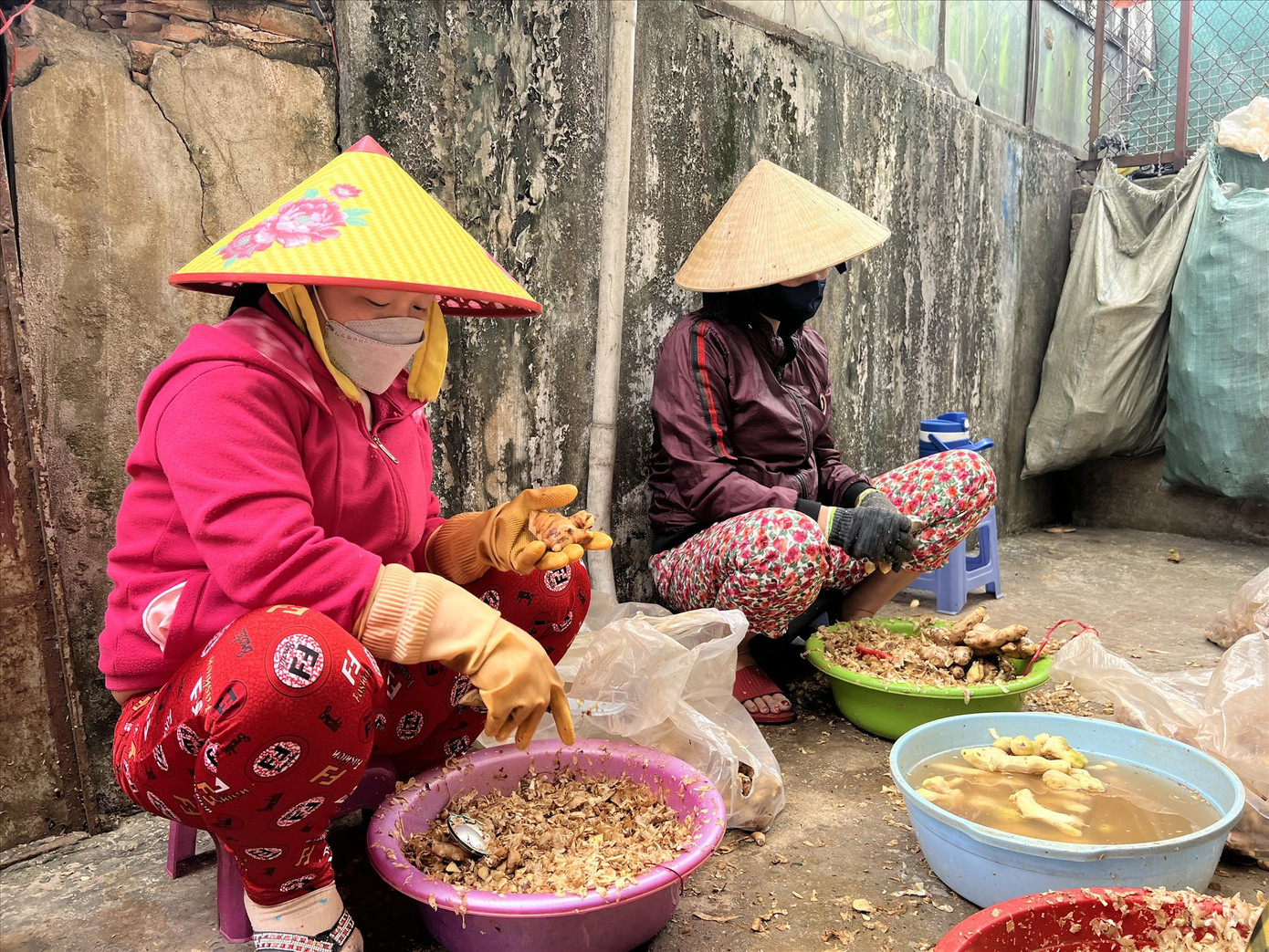 Nhóm công nhân thất nghiệp cạo vỏ gừng kiếm sống ảnh: U.P Nhóm công nhân thất nghiệp cạo vỏ gừng kiếm sống ảnh: U.P