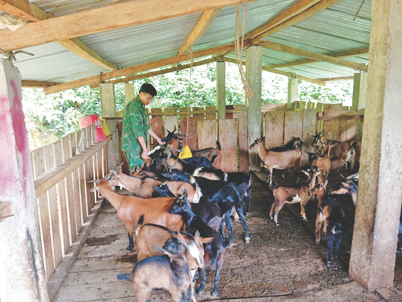 Cán bộ, chiến sĩ Trạm biên phòng Kẻng Mỏ tăng gia sản xuất đảm bảo hậu cần.
