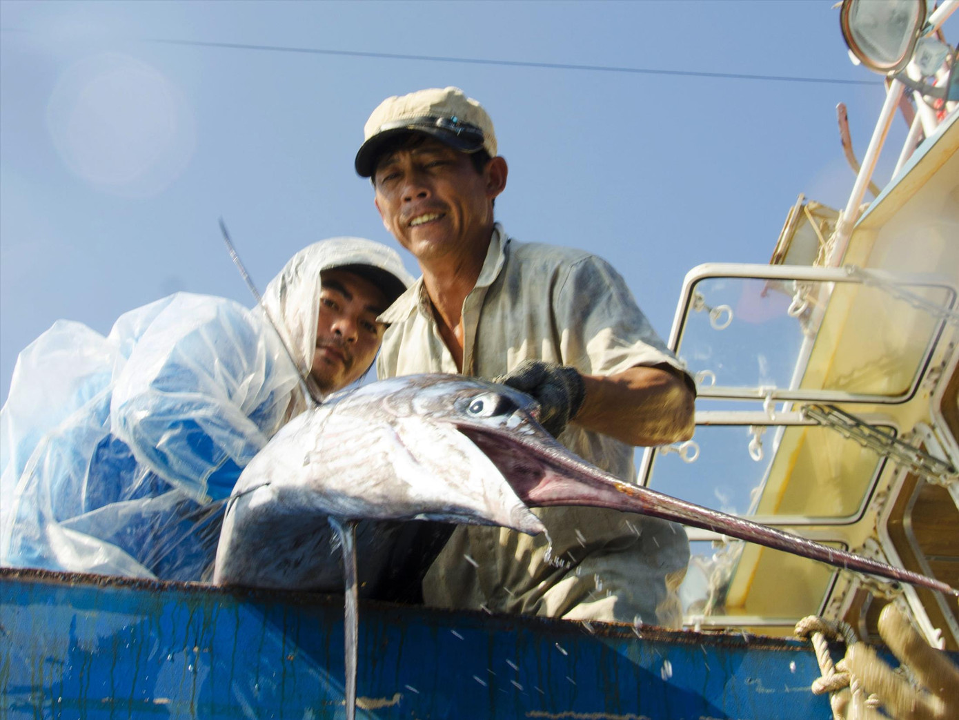 Chiếc mỏ nhọn hoắt của một con cá kiếm nặng 50 kg. Ảnh: Văn Chương Chiếc mỏ nhọn hoắt của một con cá kiếm nặng 50 kg. Ảnh: Văn Chương