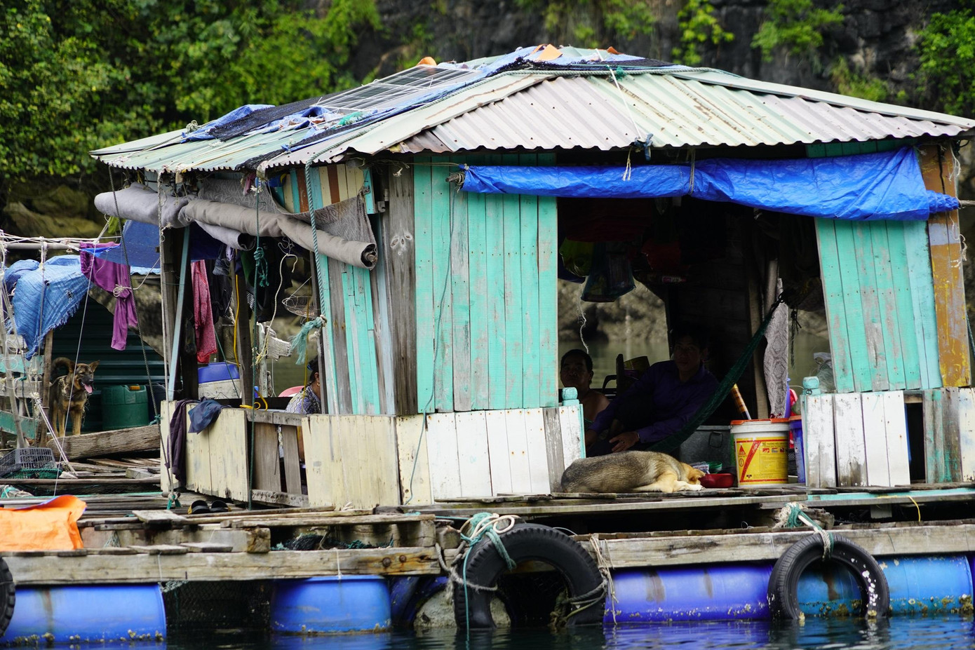 Cư dân vịnh Hạ Long đang sống chui trốn lủi vì những khoản nợ khi lên bờ định cư Ảnh: Hoàng Dương