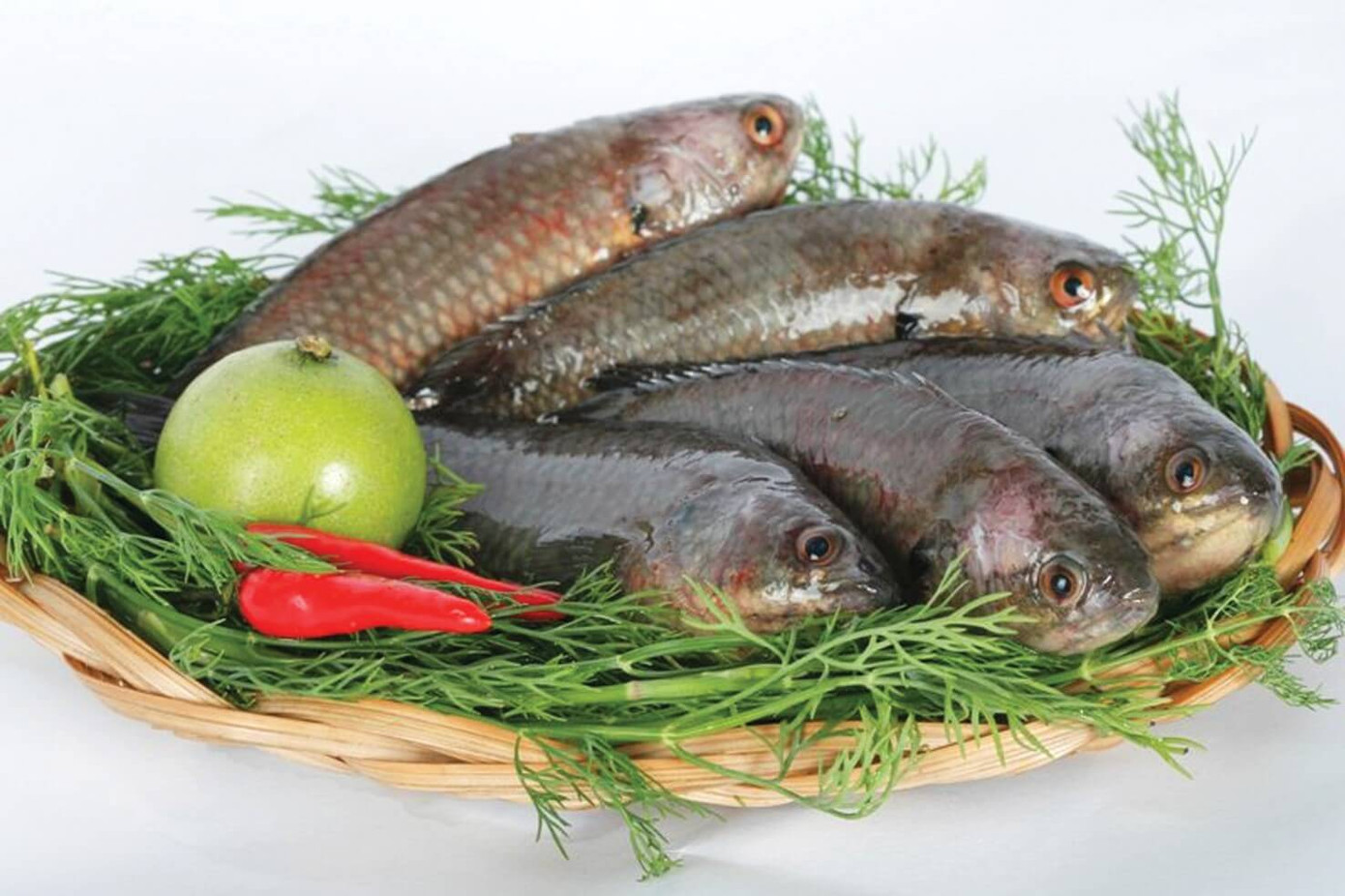 Rô Tổng Trường