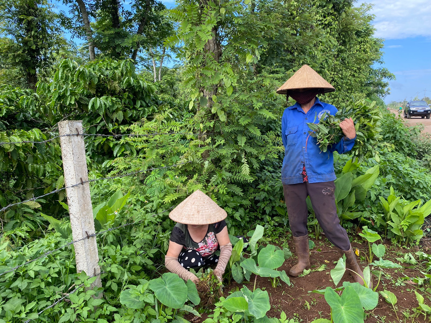 Người dân đã trở lại với công việc bình thường