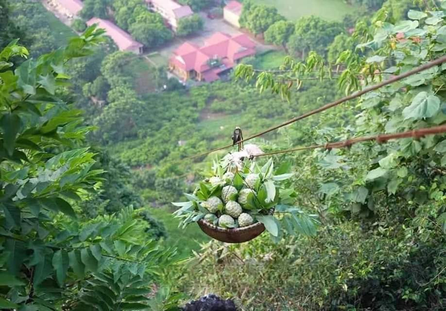 Na bay Ảnh: DC Na bay Ảnh: DC