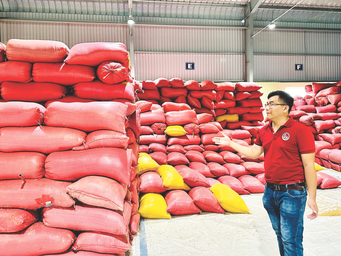 Giám đốc HTX Nông nghiệp Long Hiệp - Trầm Minh Thuần. Giám đốc HTX Nông nghiệp Long Hiệp - Trầm Minh Thuần.