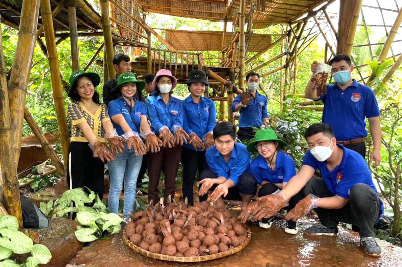Thanh niên làm viên hạt giống