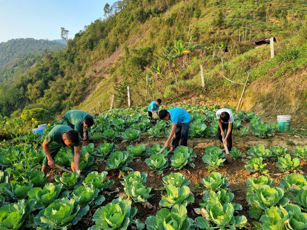 Các con nuôi đồn Biên phòng tăng gia sản xuất cùng các chiến sĩ Các con nuôi đồn Biên phòng tăng gia sản xuất cùng các chiến sĩ