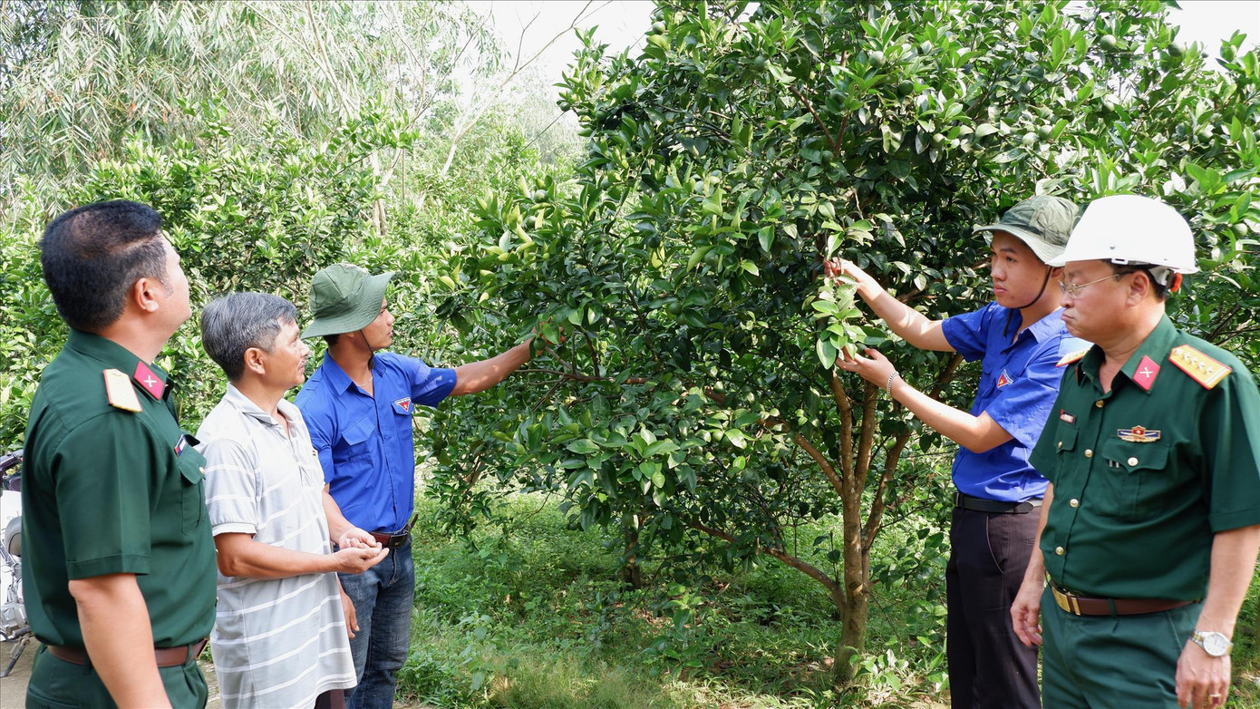 Cán bộ chiến sĩ Đoàn 207 và những trí thức trẻ bên mô hình vườn cam Vinh của gia đình ông A Lăng Rơng