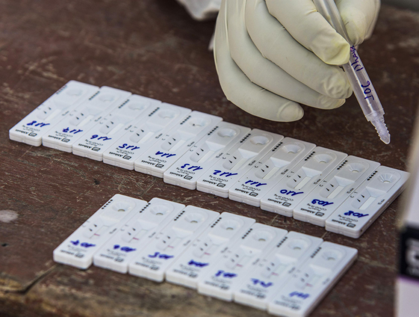 Dãy que thử test ở Sa Huỳnh giống như những quân cờ domino Dãy que thử test ở Sa Huỳnh giống như những quân cờ domino