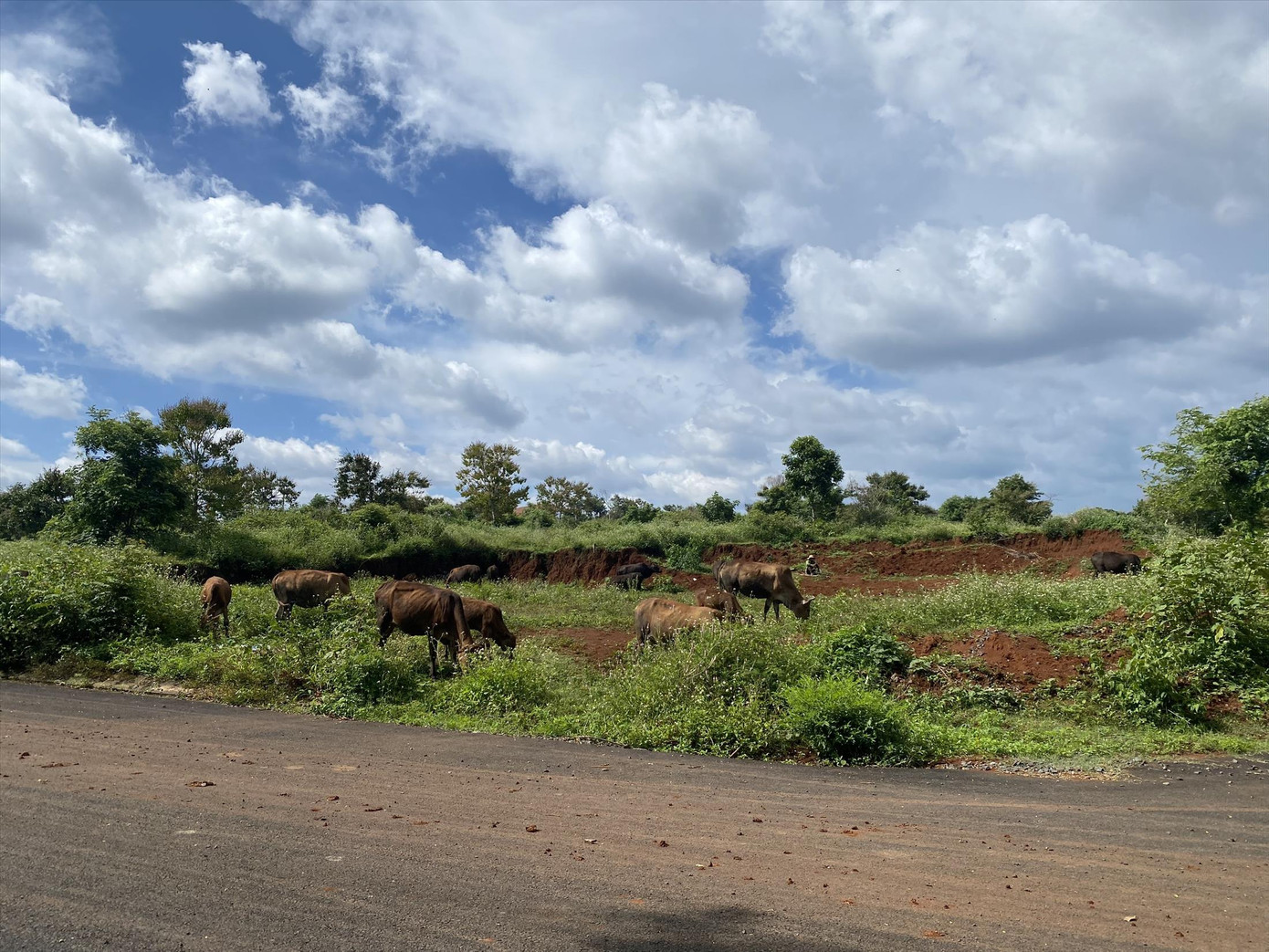 Dự án Khu đô thị Đông Nam chưa hoàn thiện hạ tầng, trên thực tế nhiều chỗ đang trở thành nơi chăn bò của người dân Dự án Khu đô thị Đông Nam chưa hoàn thiện hạ tầng, trên thực tế nhiều chỗ đang trở thành nơi chăn bò của người dân