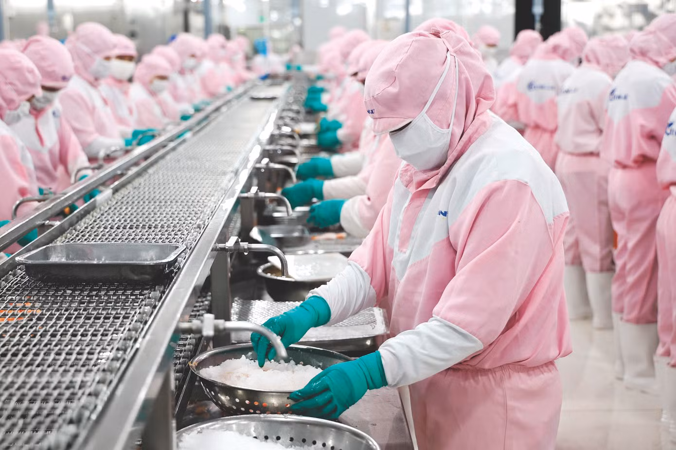 Kinh tế Việt Nam phải vượt qua nhiều khó khăn, thách thức năm 2025. Ảnh: Nguyễn Bằng