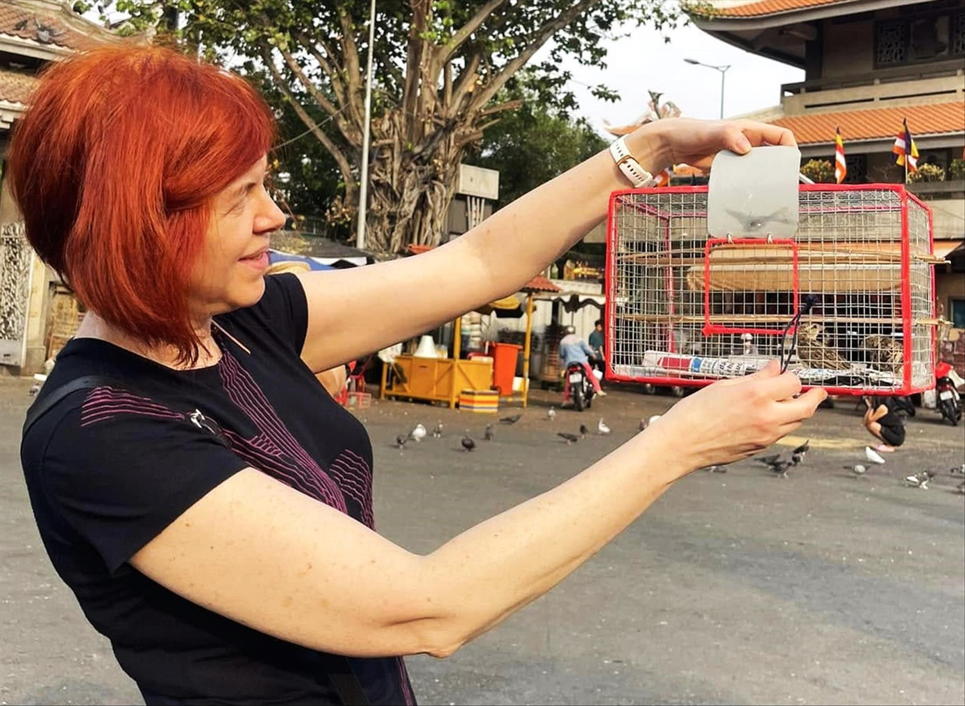 Dù được phóng sinh chim vẫn hoang mang, không đủ sức bay ra khỏi lồng. Ảnh: Nguyên Anh Dù được phóng sinh chim vẫn hoang mang, không đủ sức bay ra khỏi lồng. Ảnh: Nguyên Anh