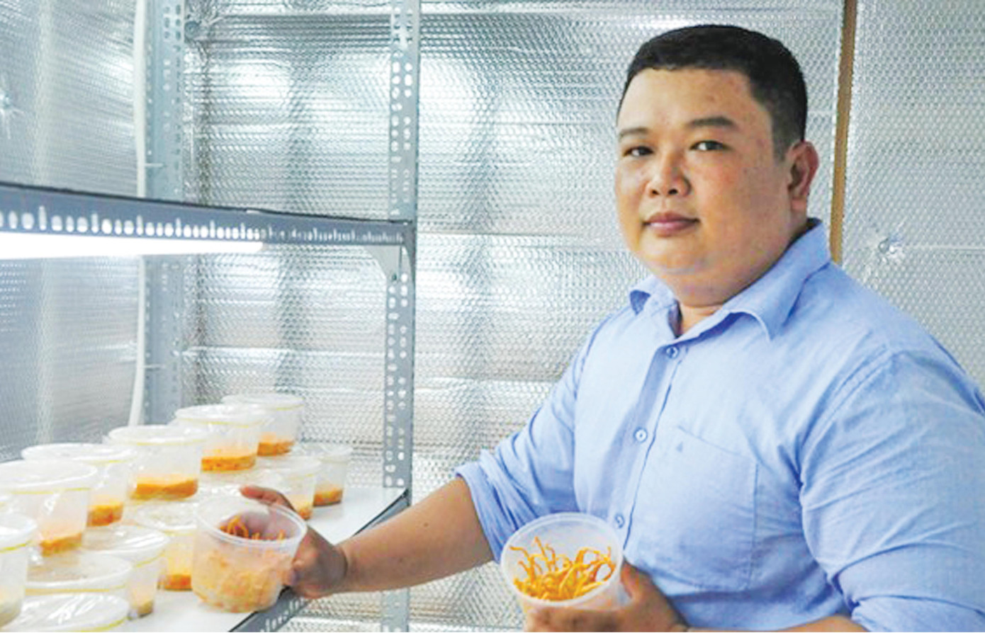 Ngô Xuân Điền khởi nghiệp với trồng đông trùng hạ thảo