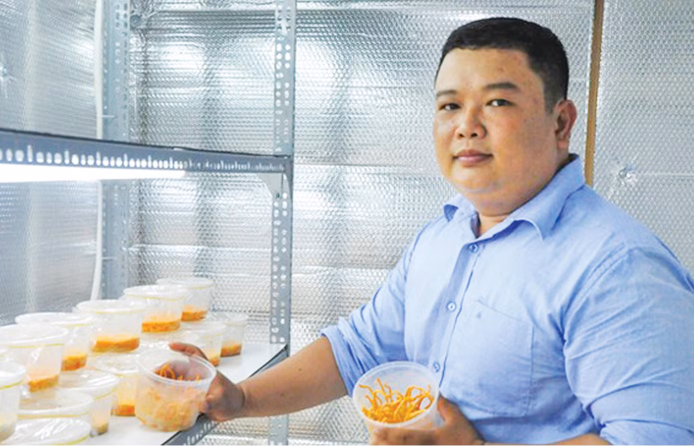 Ngô Xuân Điền khởi nghiệp với trồng đông trùng hạ thảo Ngô Xuân Điền khởi nghiệp với trồng đông trùng hạ thảo