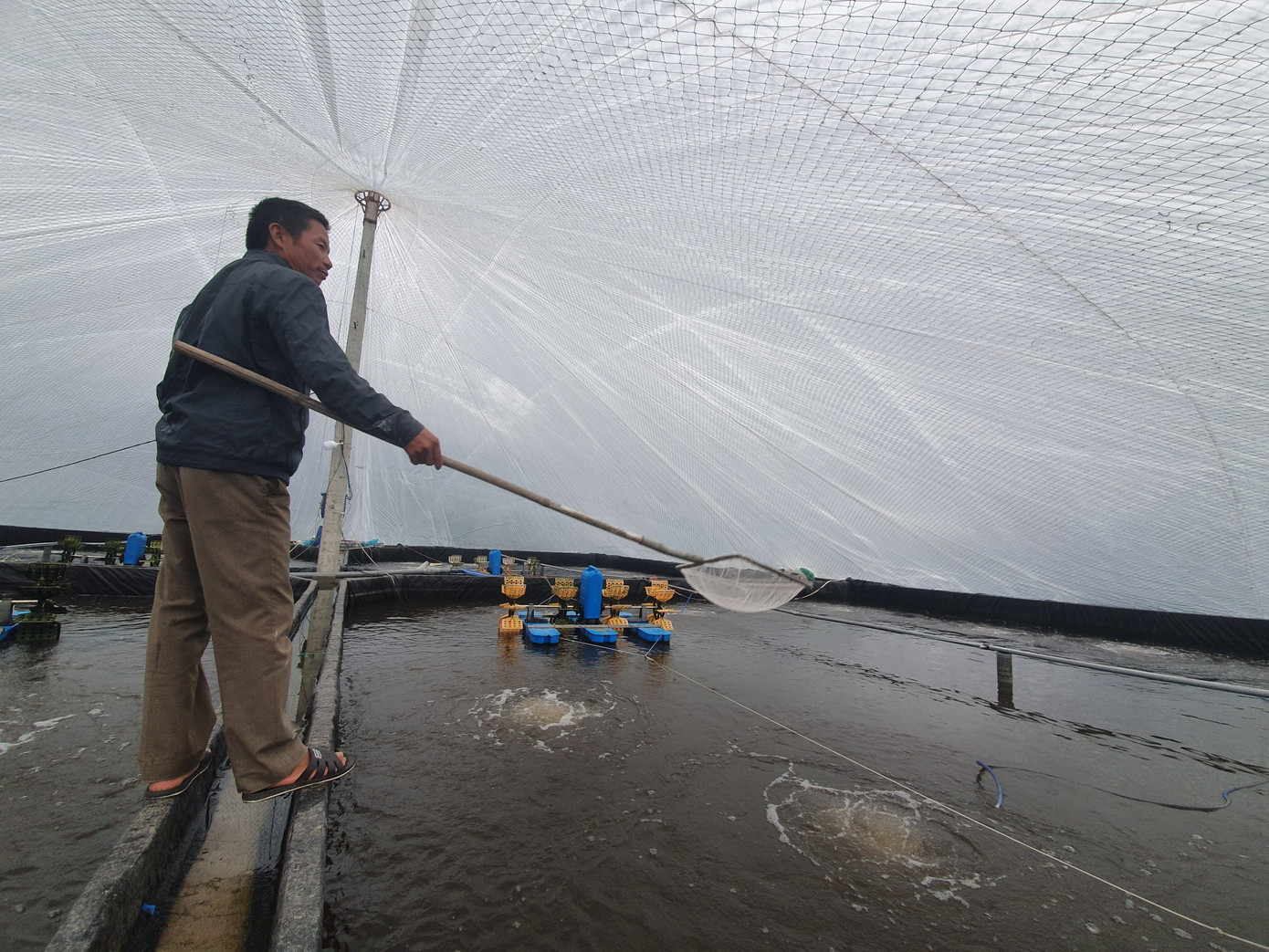 Ông Phạm Văn Nhượng (xã Giao Thiện) đang kiểm tra nhiệt độ trong vuông tôm