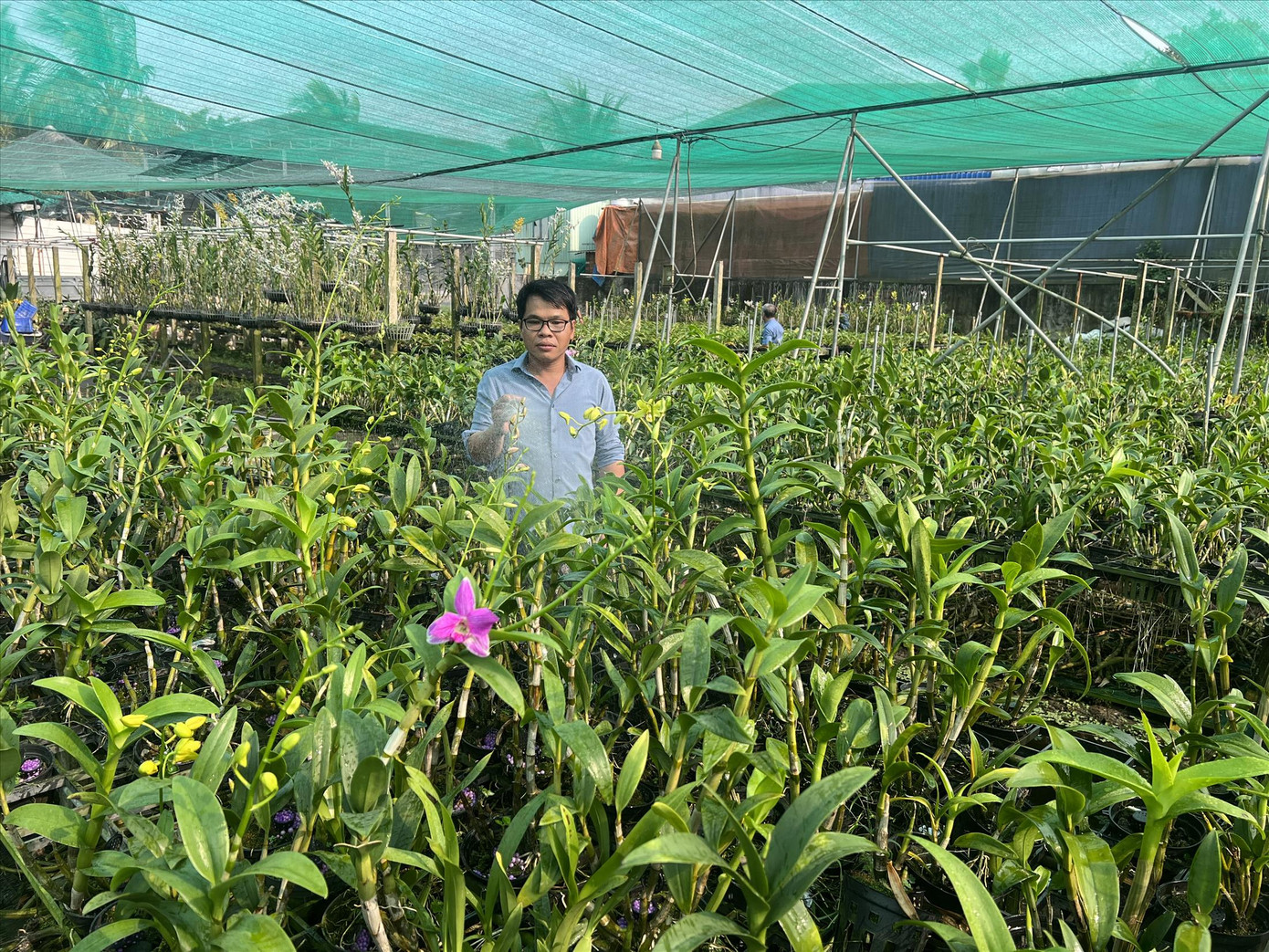 Nông dân trẻ Phạm Minh Mẫn bắt đất quy hoạch “hái ra vàng”