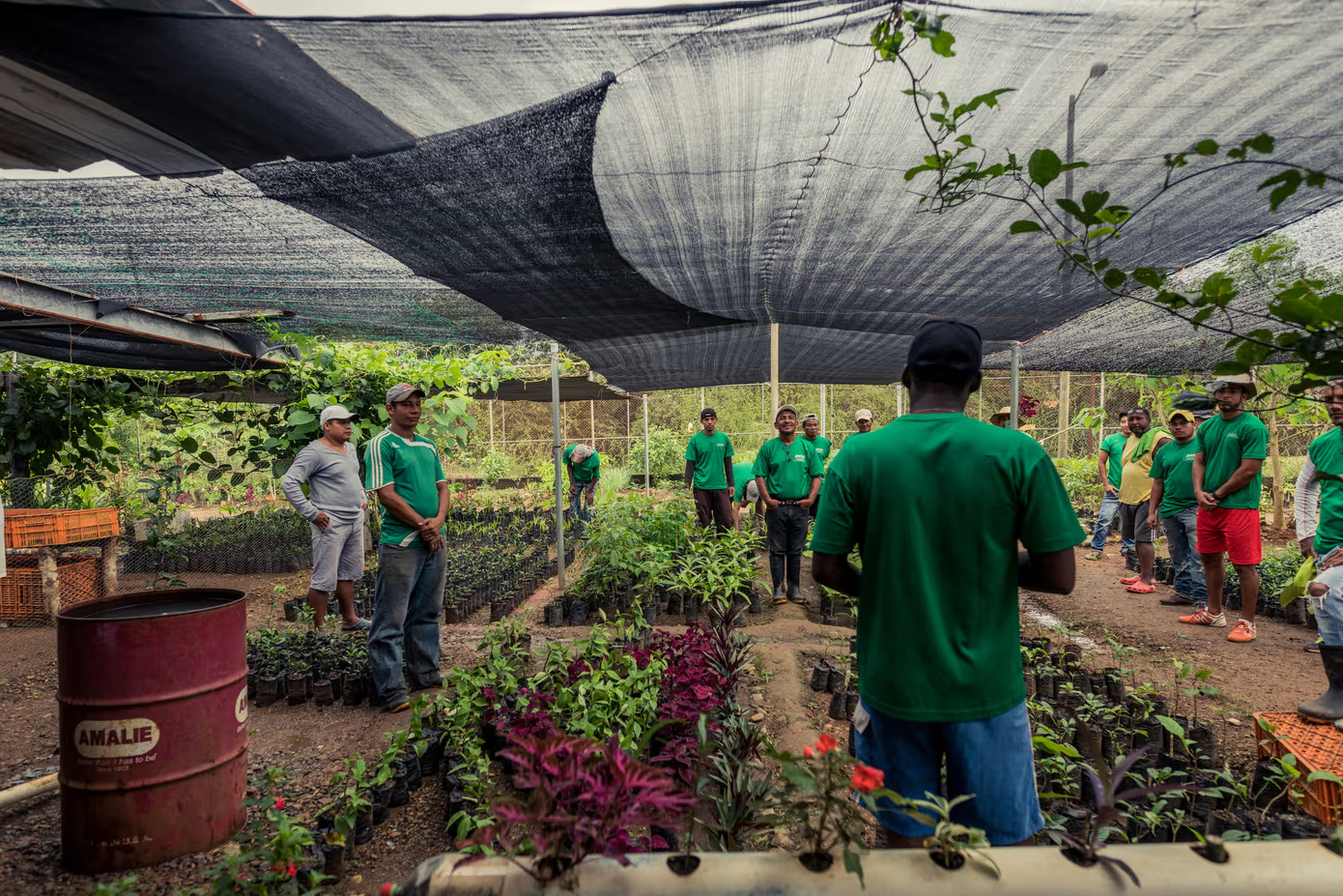 Một vườn ươm thuộc chương trình EcoSólidos ở nhà tù La Joyita.